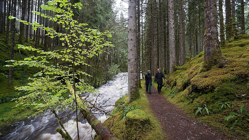 Un hombre y una mujer caminando por rápidos en un bosque